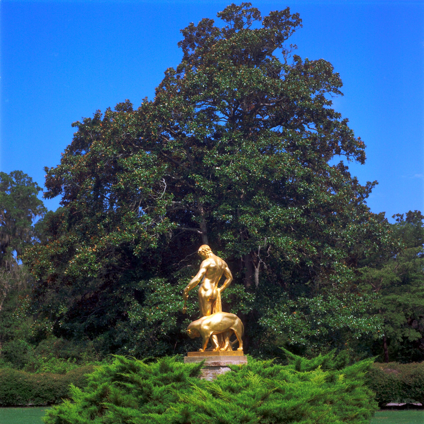 Dionysus, 2010, photography, 12 x 16 in. / 30.48 x 40.64 cm.