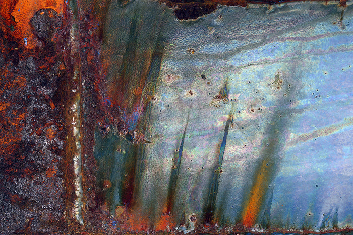 Dryad at Dusk, 2023, archival pigment print, 13 x 19 in. / 33.02 x 48.26 cm.