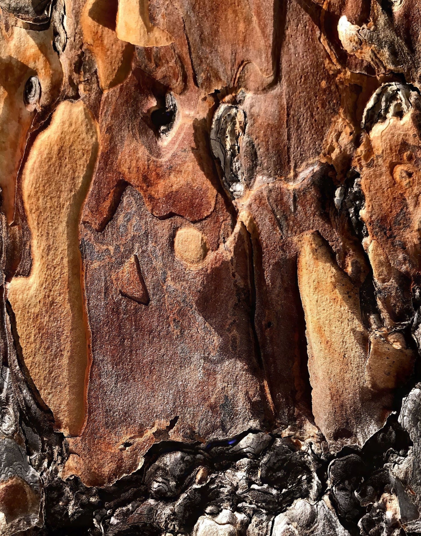 Dynamic Pallete, 2023, photography, 11 x 14 in. / 27.94 x 35.56 cm.