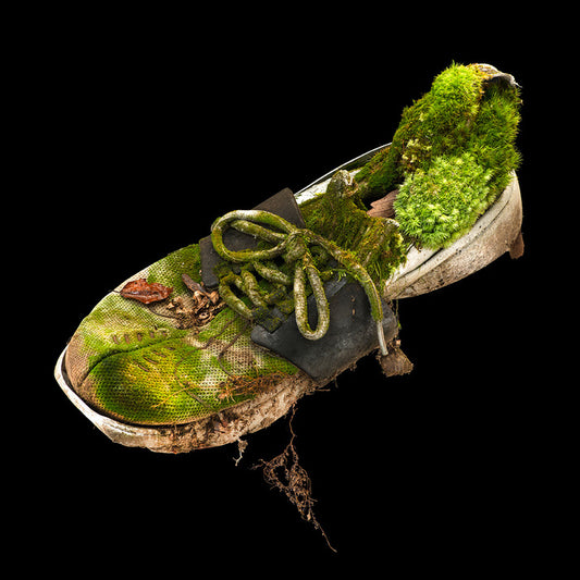 Evidence, 2022, metal print, 24 x 24 in. / 60.96 x 60.96 cm.