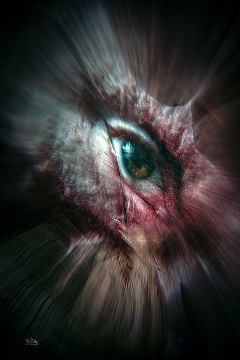 Eye Yie Yie, 2024, icm photography, 13 x 19 in. / 33.02 x 48.26 cm.