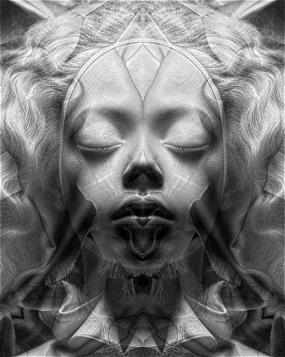 Fabric Portrait: No. 2,577 (Ex Tenebris Lux), 2024, mixed media, 20 x 16 in. / 50.8 x 40.64 cm.