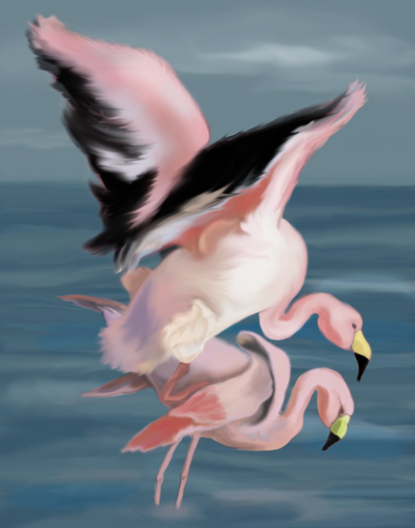 Flamingo Union, 2025, graphic watercolor, 11 x 14 in. / 27.94 x 35.56 cm.