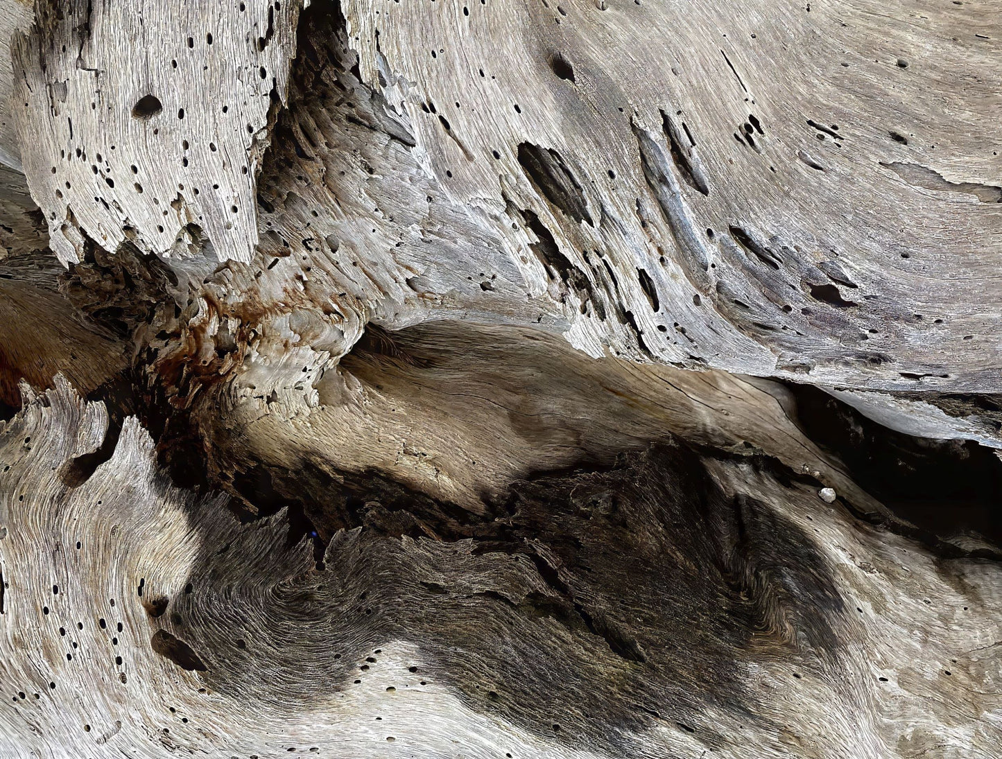 Flowing Shadow, 2023, photography, 11 x 14 in. / 27.94 x 35.56 cm.