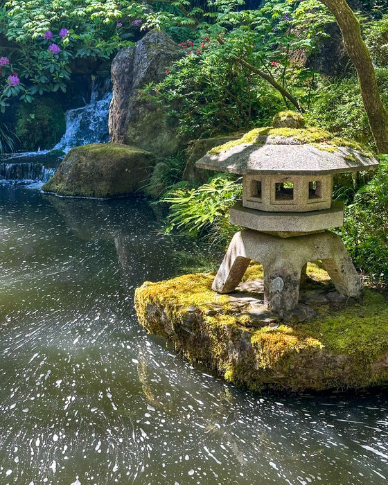 Fluid Flowy Foam, 2024, photography, 10 x 8 in. / 25.4 x 20.32 cm.