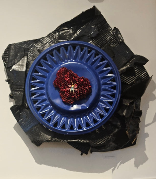 Focus, 2024, mixed media, 20 x 21 x 6 in. / 50.8 x 53.34 x 15.24 cm.