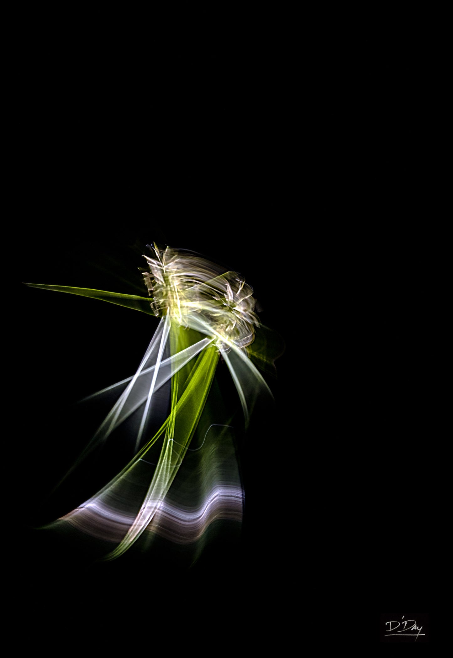 Fred and Ginger, 2022, photography, 11 x 14 in. / 27.94 x 35.56 cm.