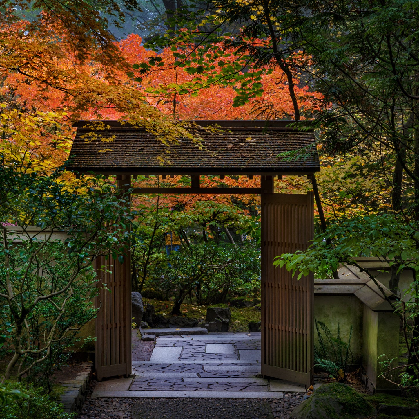 Gate to Fall, 2023, photography, 16 x 20 in. / 40.64 x 50.8 cm.