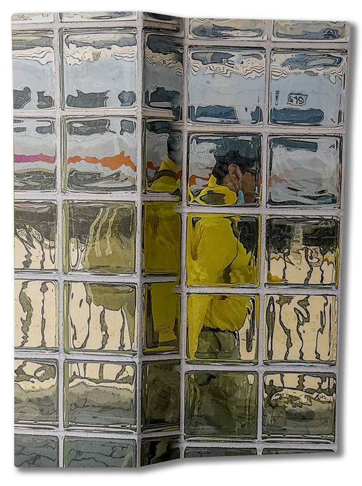 Glass Block 12, 2022, dye sublimation on hand cut aluminum, 25 x 19 in. / 63.5 x 48.26 cm.