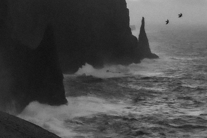 Harsh, 2025, photography, 24 x 36 in. / 60.96 x 91.44 cm.