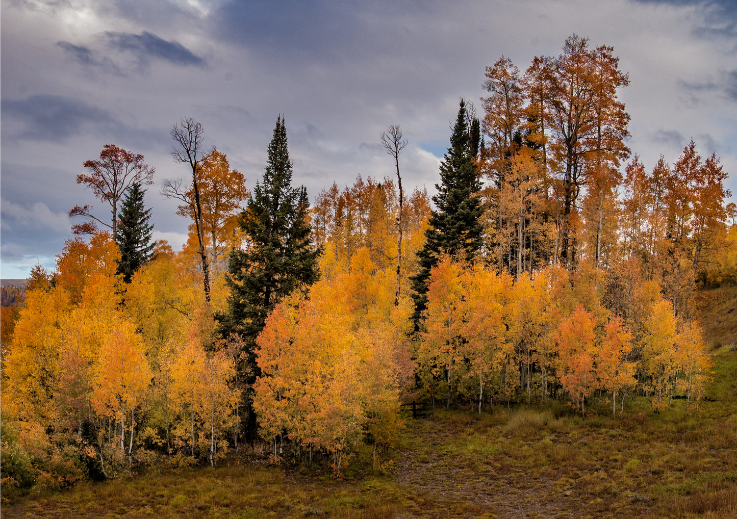 Highway 31 Color, 2022, photography, 16 x 20 in. / 40.64 x 50.8 cm.
