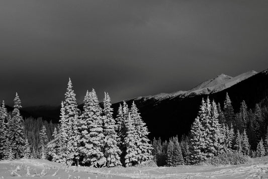 Timberline Hush, 2023, archival pigment print, 16 x 24 in. / 40.64 x 60.96 cm.