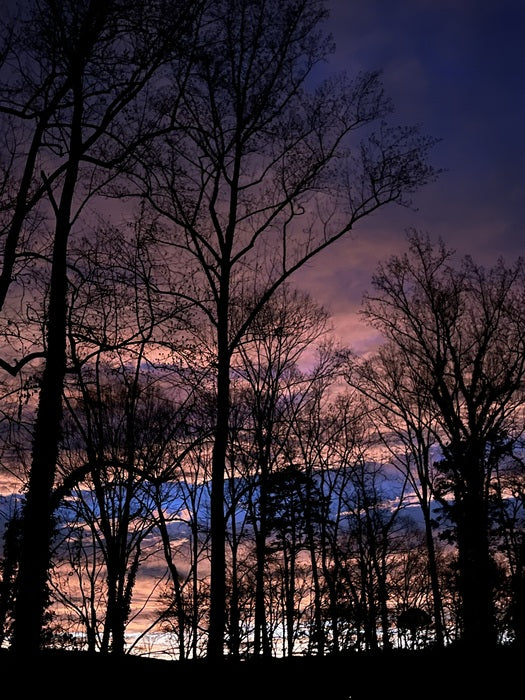 Lost in Colour, 2023, digital photography, 11 x 14 in. / 27.94 x 35.56 cm.