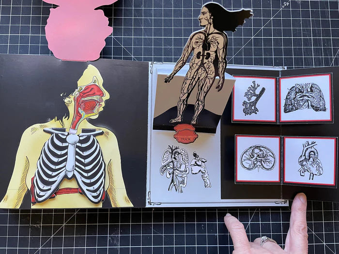 My Anatomical Journal, 2022, mixed media, 6 x 6 in. / 15.24 x 15.24 cm.