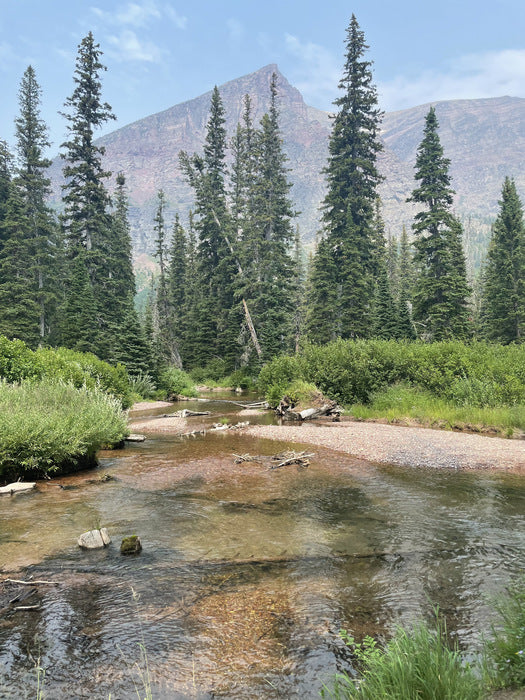 River, Trees & Mountain Meet, 2021, digital color print, 11 x 14 in. / 27.94 x 35.56 cm.