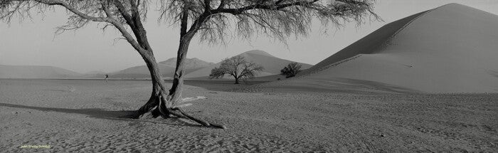Sand in My Shoe at Dune 45, Namibia, 1999, photography, 13 x 27 in. / 33.02 x 68.58 cm.