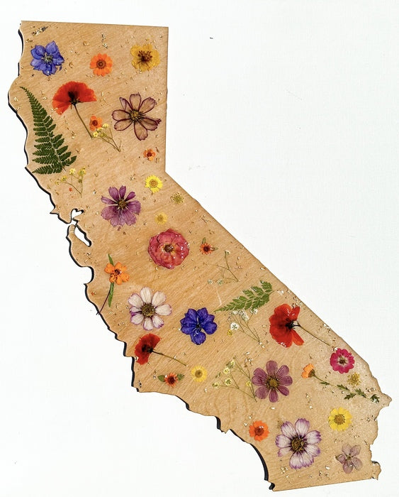 California Wildflower, 2024, birch wood, resin and pressed flowers, 24 x 17 in. x 60.96 x 43.18 cm.