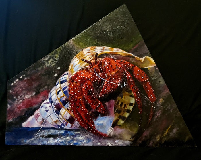 Paguroidea, 2023, oil, 11 x 14 in. / 27.94 x 35.56 cm.