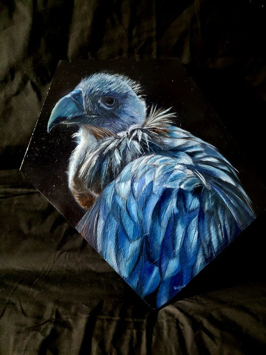 Cathartes Aura, 2023, oil, 8 x 7.5 in. / 20.32 x 19.05 cm.