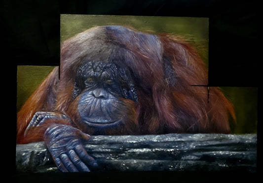 Pongo, 2023, oil, 19 x 12 in. / 48.26 x 30.48 cm.