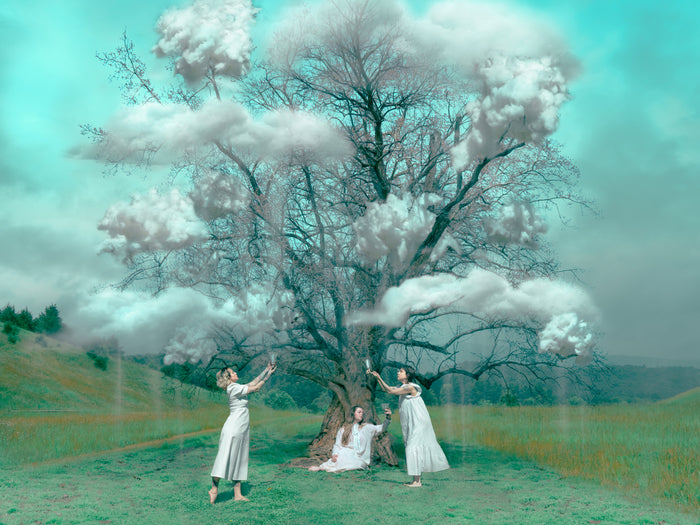 Unified Field, 2024, fine art photography, 18 x 24 in. / 45.72 x 60.96 cm.