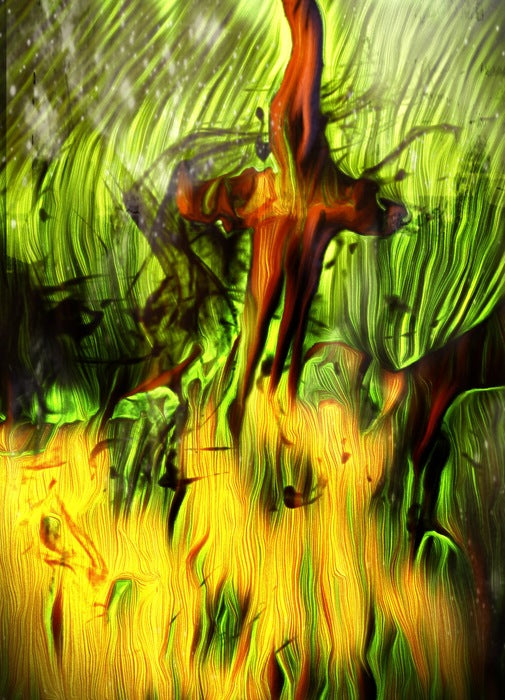 "The Shadows of your Mind”, 2022, digital photography, 20 x 16 in. / 50.8 x 40.64 cm.