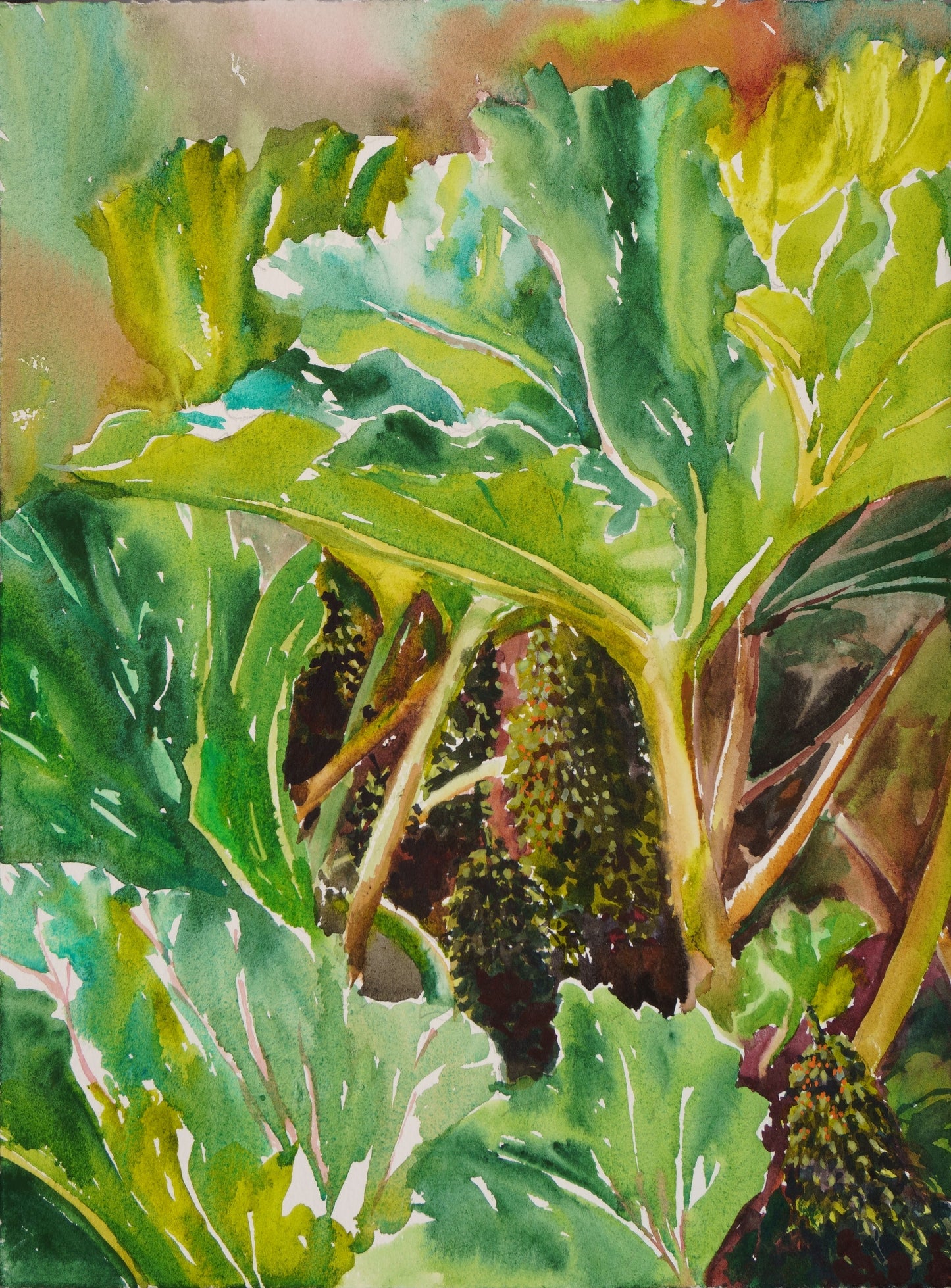 Dinosaur Plants (Gunnera Manicata), 2022, watercolor on paper, 11 x 15 in. / 27.94 x 38.1 cm.
