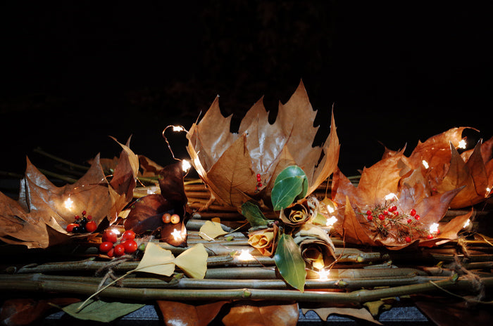 Whispers of Autumn, 2024, installation, 40 x 120 x 60 cm. / 15.7 x 47.2 x 23.6 in.