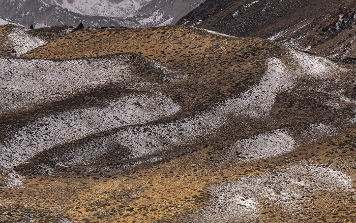 Kissed by Snow, 2022, framed photography, 21 x 30 in. / 53.34 x 76.2 cm.