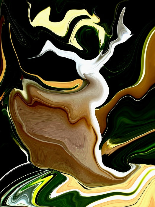 Night !s Dancing, 2025, digital print, 14 x 11 in. / 35.56 x 27.94 cm.