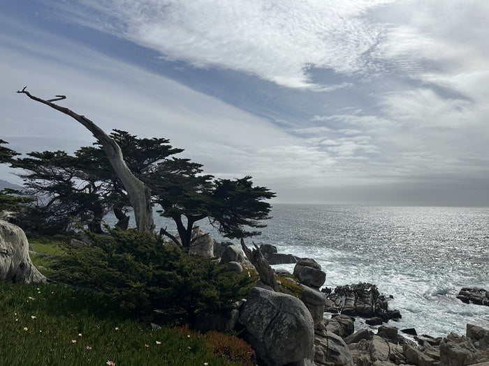 Pescadero Point, 2025, giclee print, 14 x 11 in. / 35.56 x 27.94 cm.
