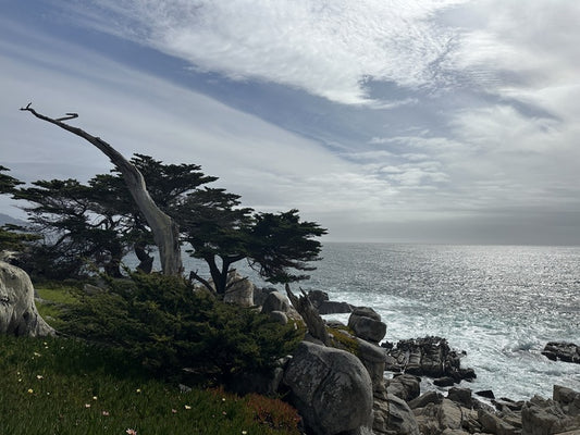 Pescadero Point, 2025, giclee print, 14 x 11 in. / 35.56 x 27.94 cm.
