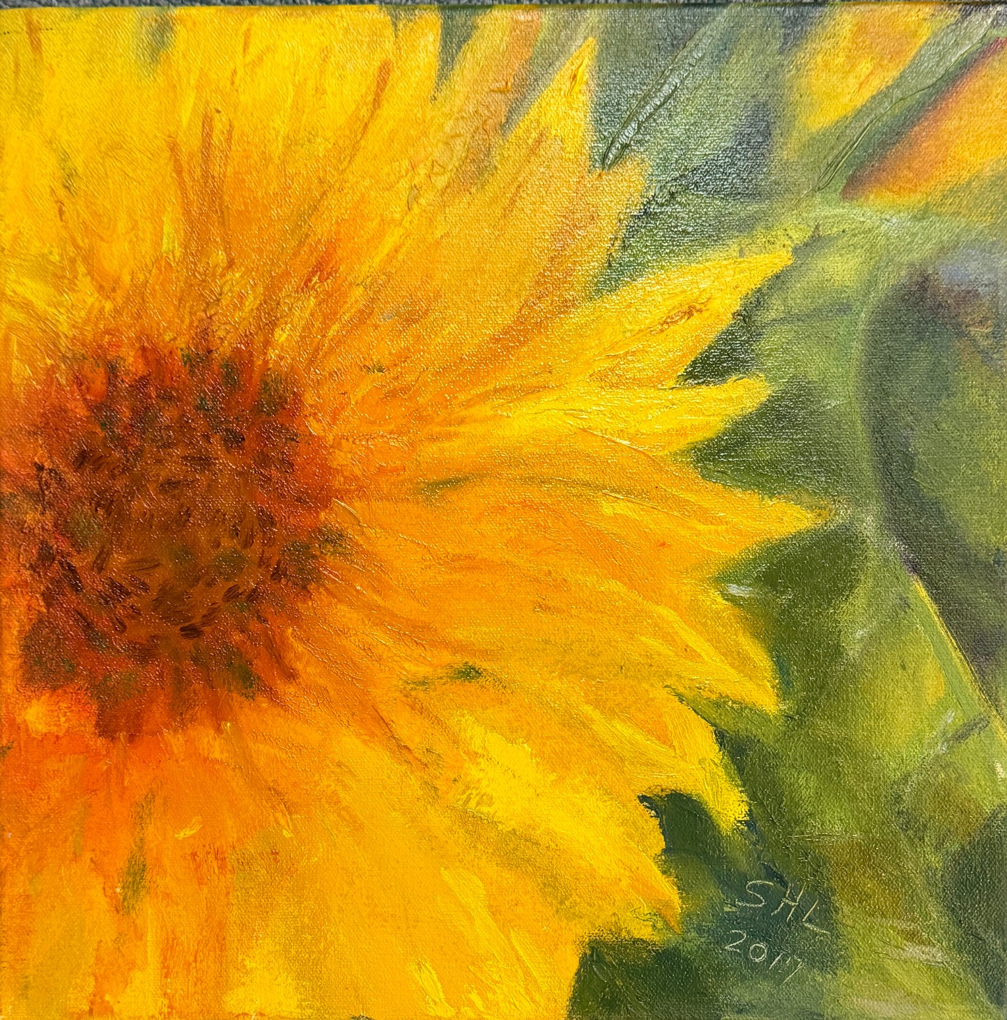 Sunflower, 2017, oil on linen, 12 x 12 in. / 30.48 x 30.48 cm.