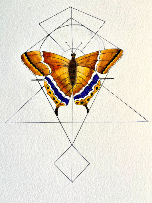 Wonders of Nature-3, 2024, watercolor, 11 x 14 in. / 27.94 x 35.56 cm.