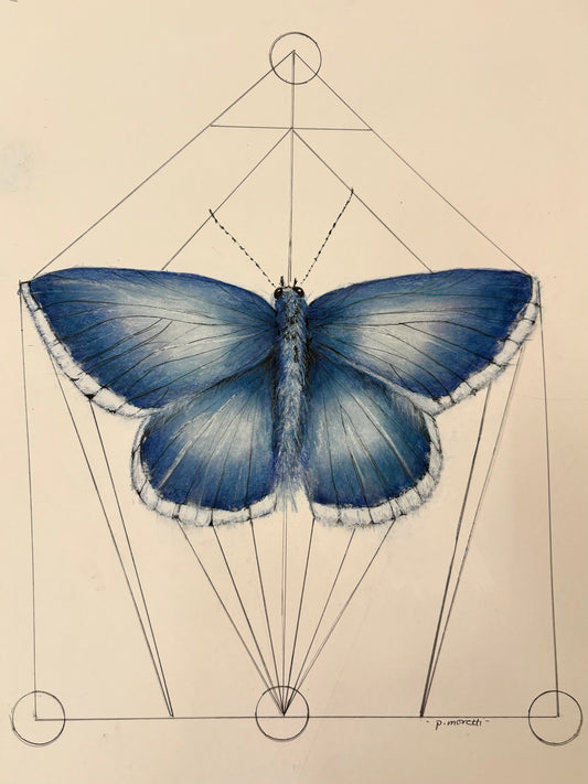 Wonders of Nature-1, 2025, watercolor, 8 x 10 in. / 20.32 x 25.4 cm.