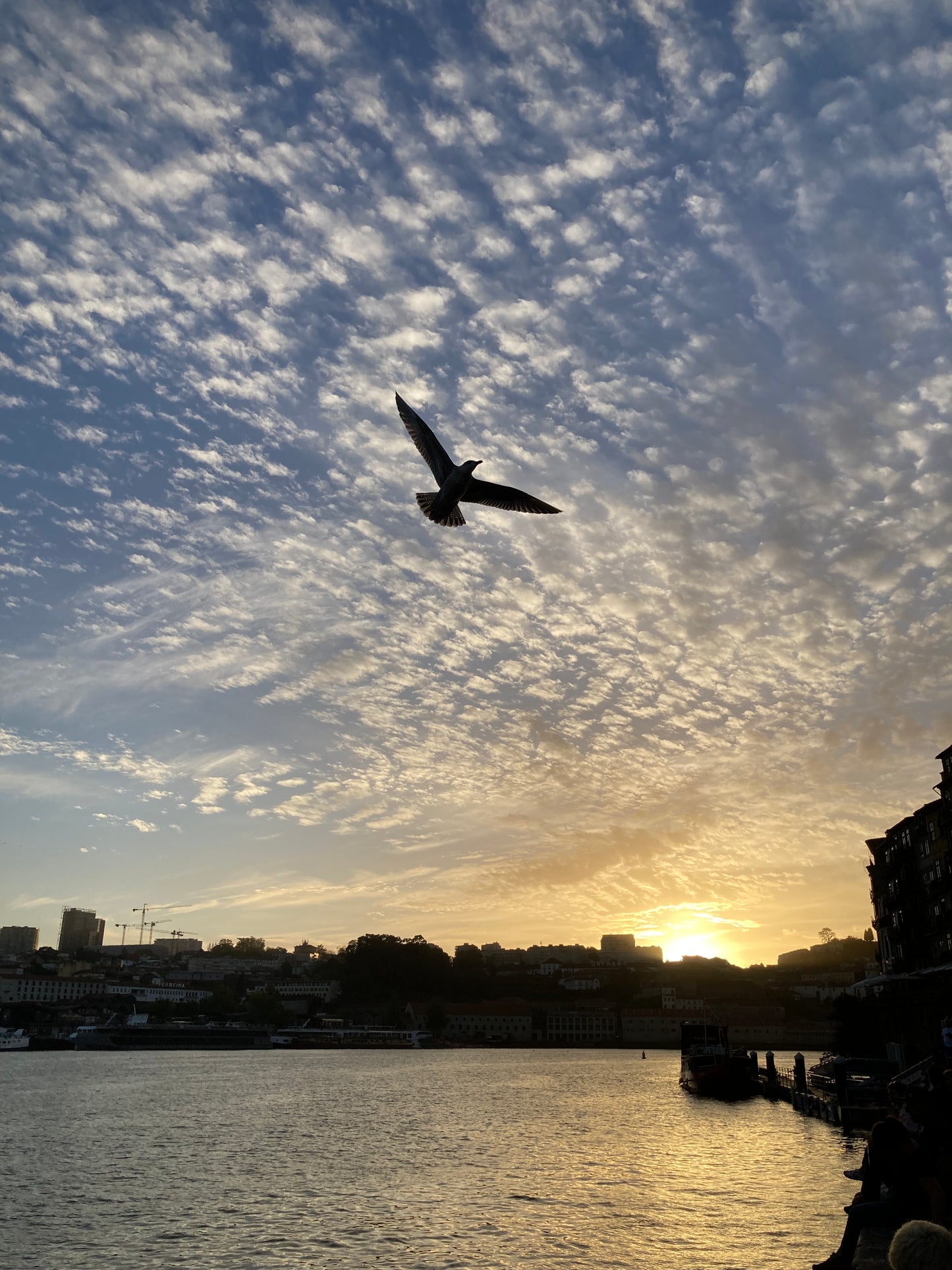 Portugal, 2025, photography, 20 x 16 in. / 50.8 x 40.64 cm.