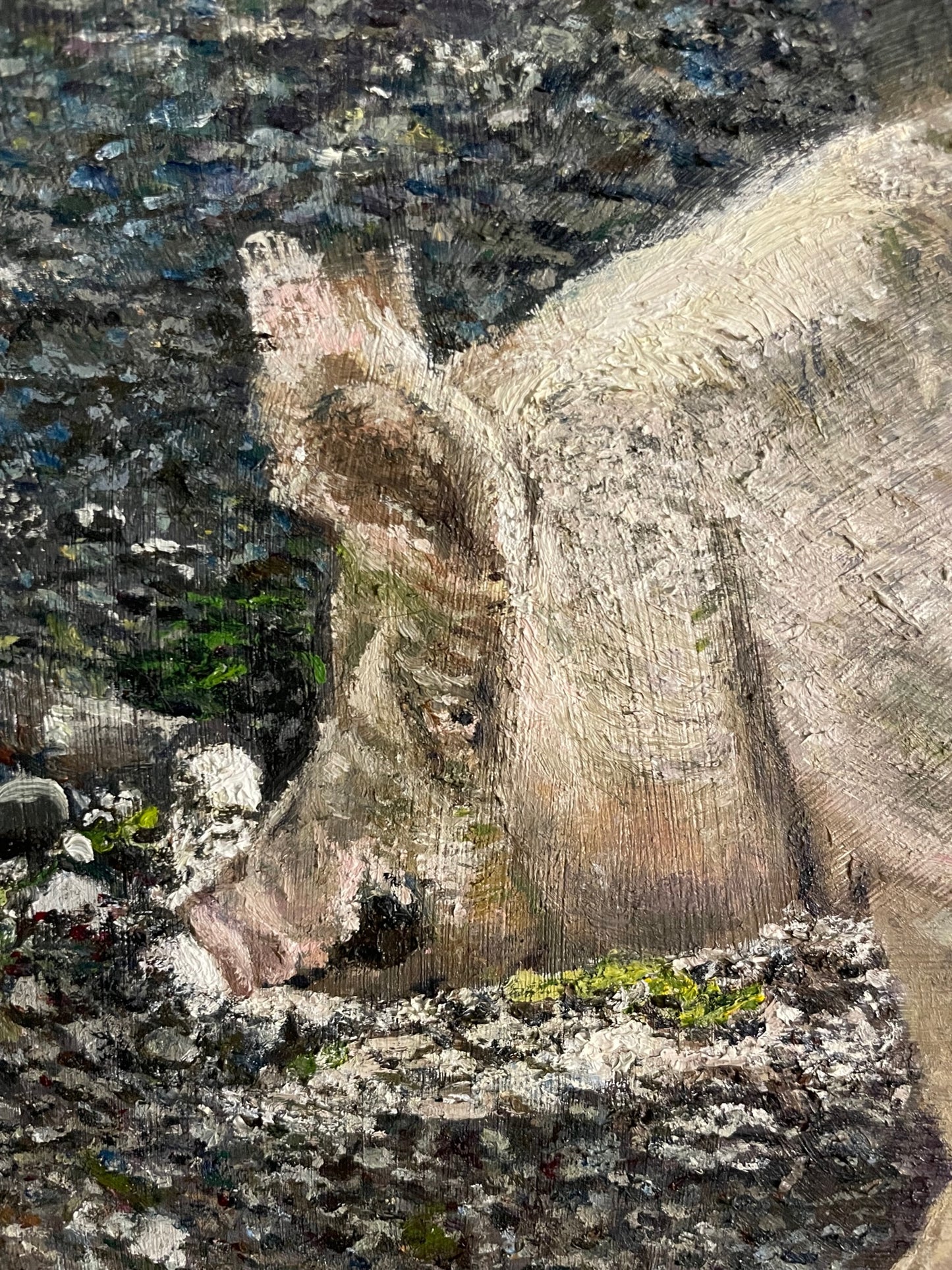 Tarantula and Pig, 2022, oil on glass in frame, 11 x 15 in. / 27.94 x 38.1 cm.