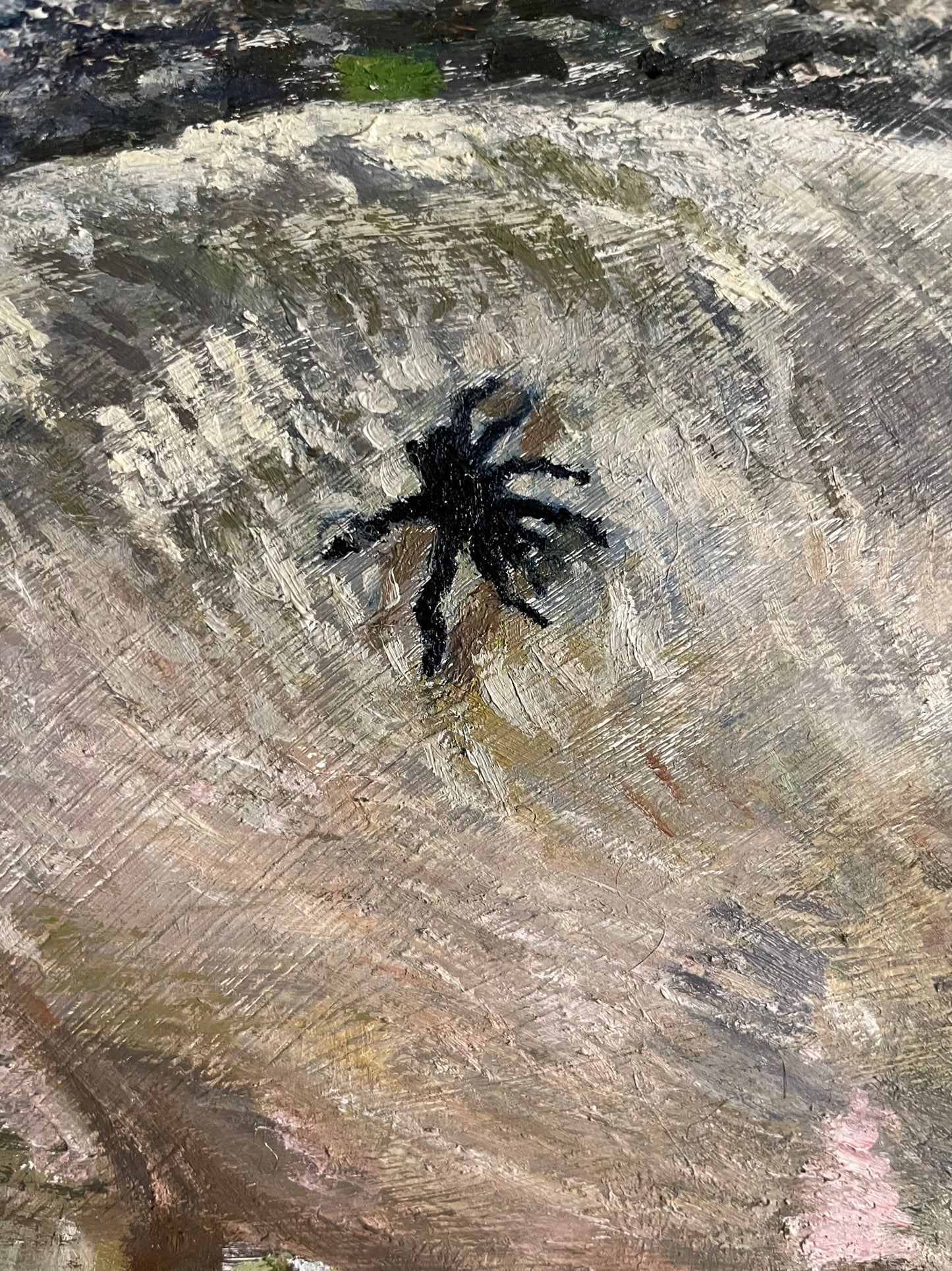 Tarantula and Pig, 2022, oil on glass in frame, 11 x 15 in. / 27.94 x 38.1 cm.