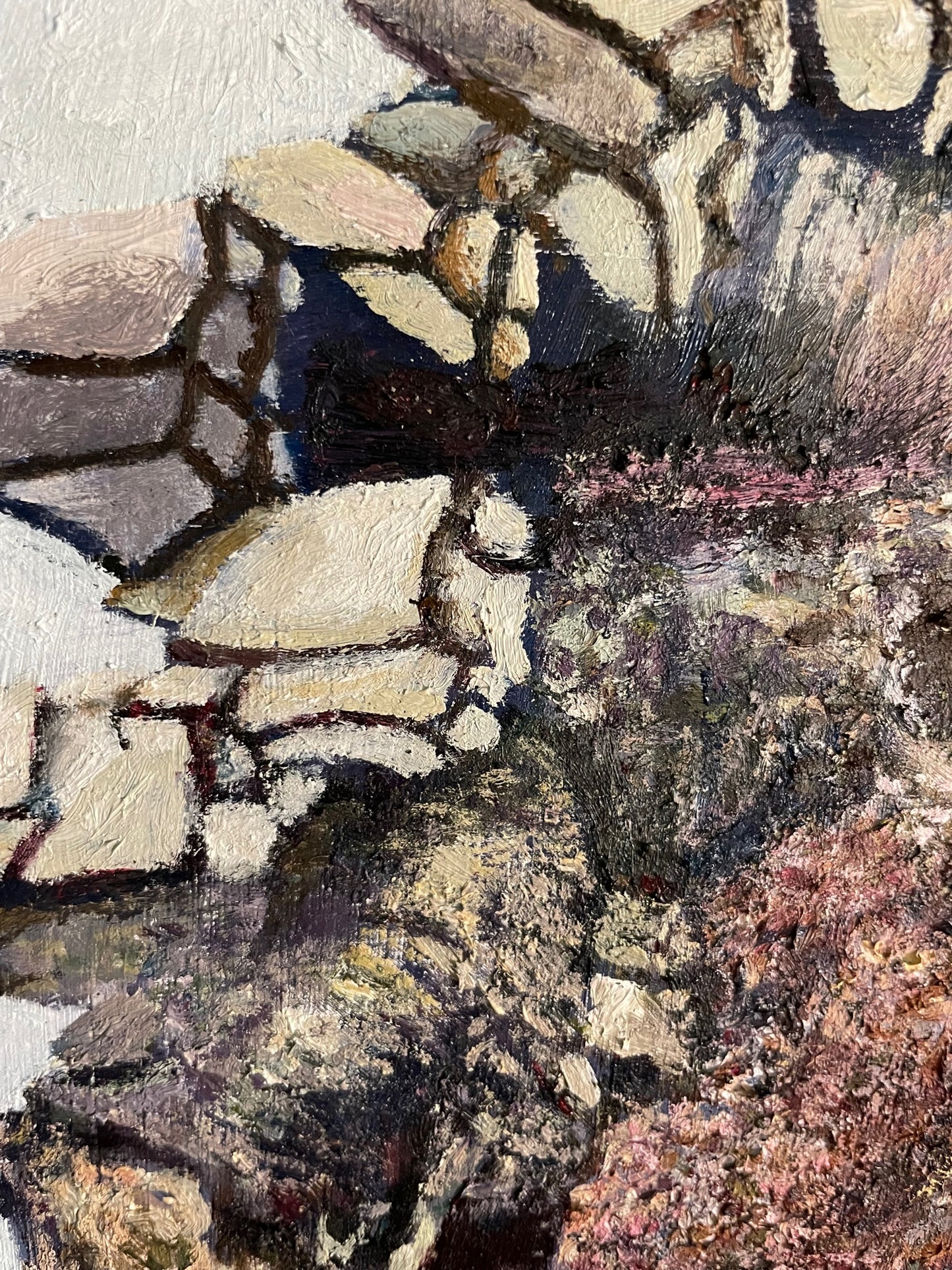 Barnacled Turtle, 2022, oil on glass in frame, 11 x 15 in. / 27.94 x 38.1 cm.