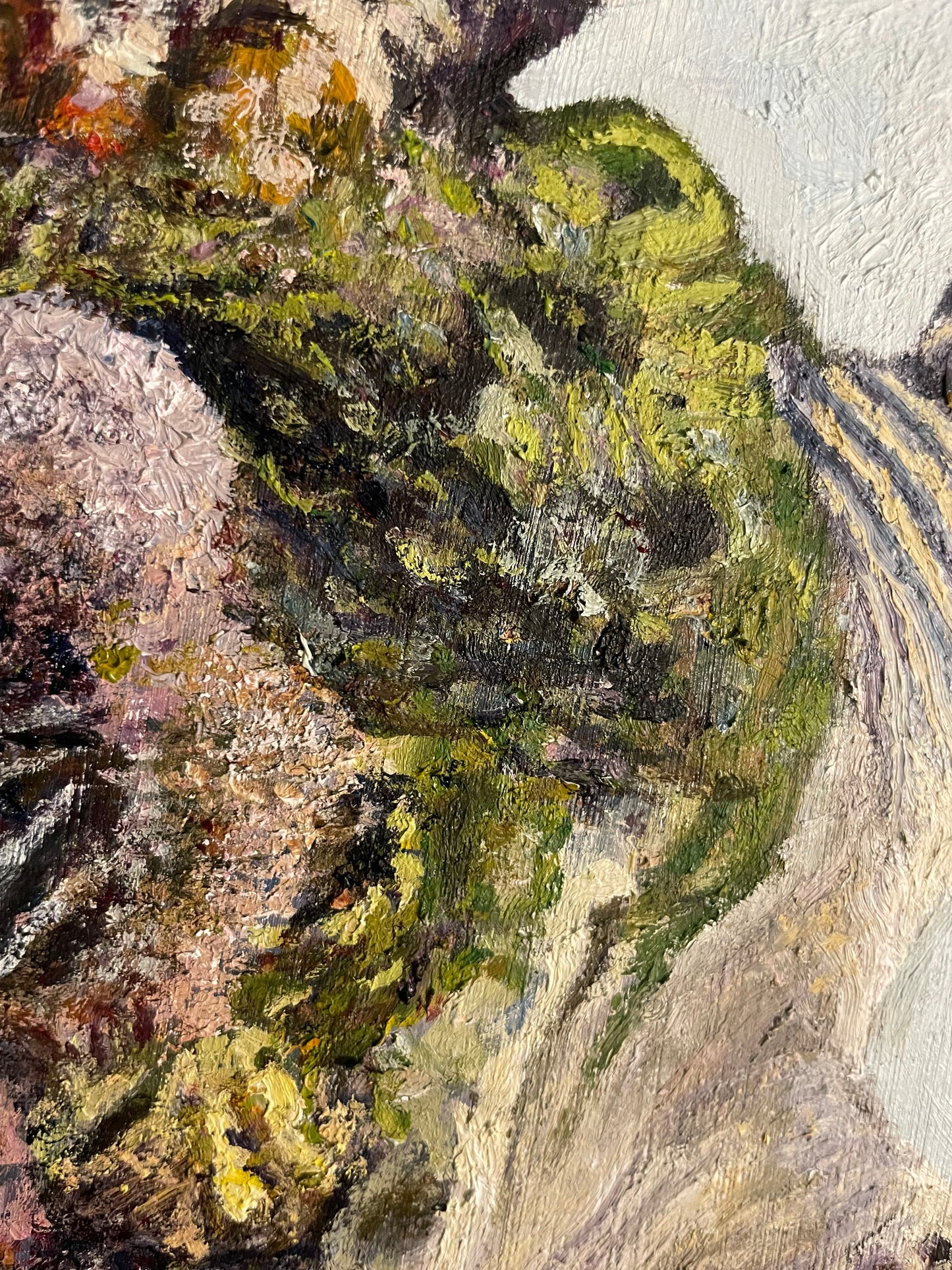 Barnacled Turtle, 2022, oil on glass in frame, 11 x 15 in. / 27.94 x 38.1 cm.
