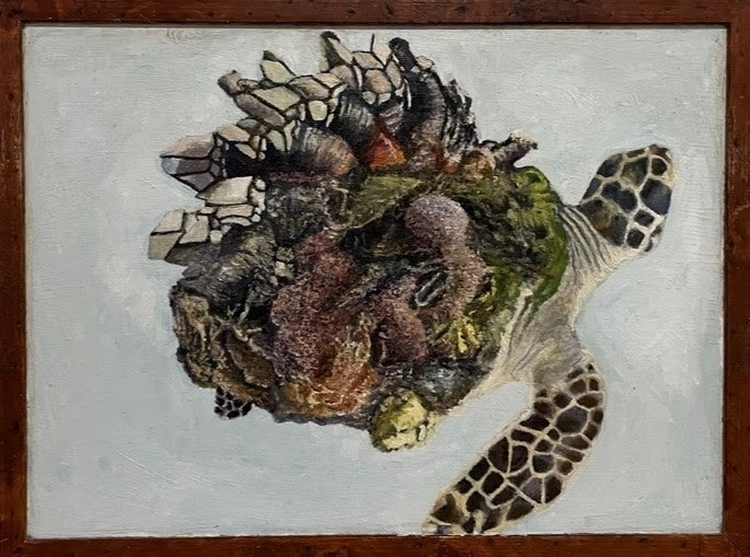 Barnacled Turtle, 2022, oil on glass in frame, 11 x 15 in. / 27.94 x 38.1 cm.