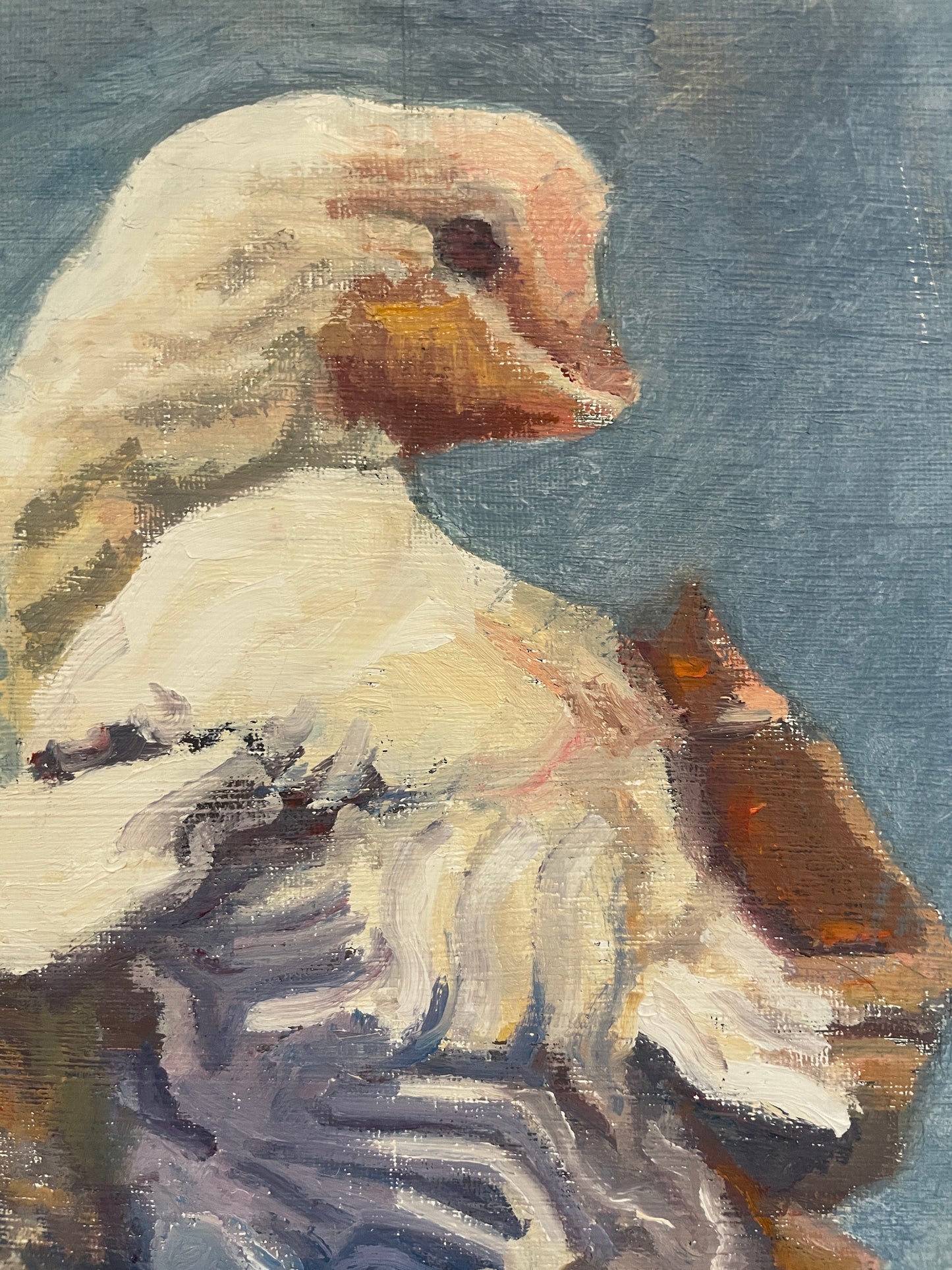 Chicken, 2023, oil on canvas, 20 x 16 in. / 50.8 x 40.64 cm.
