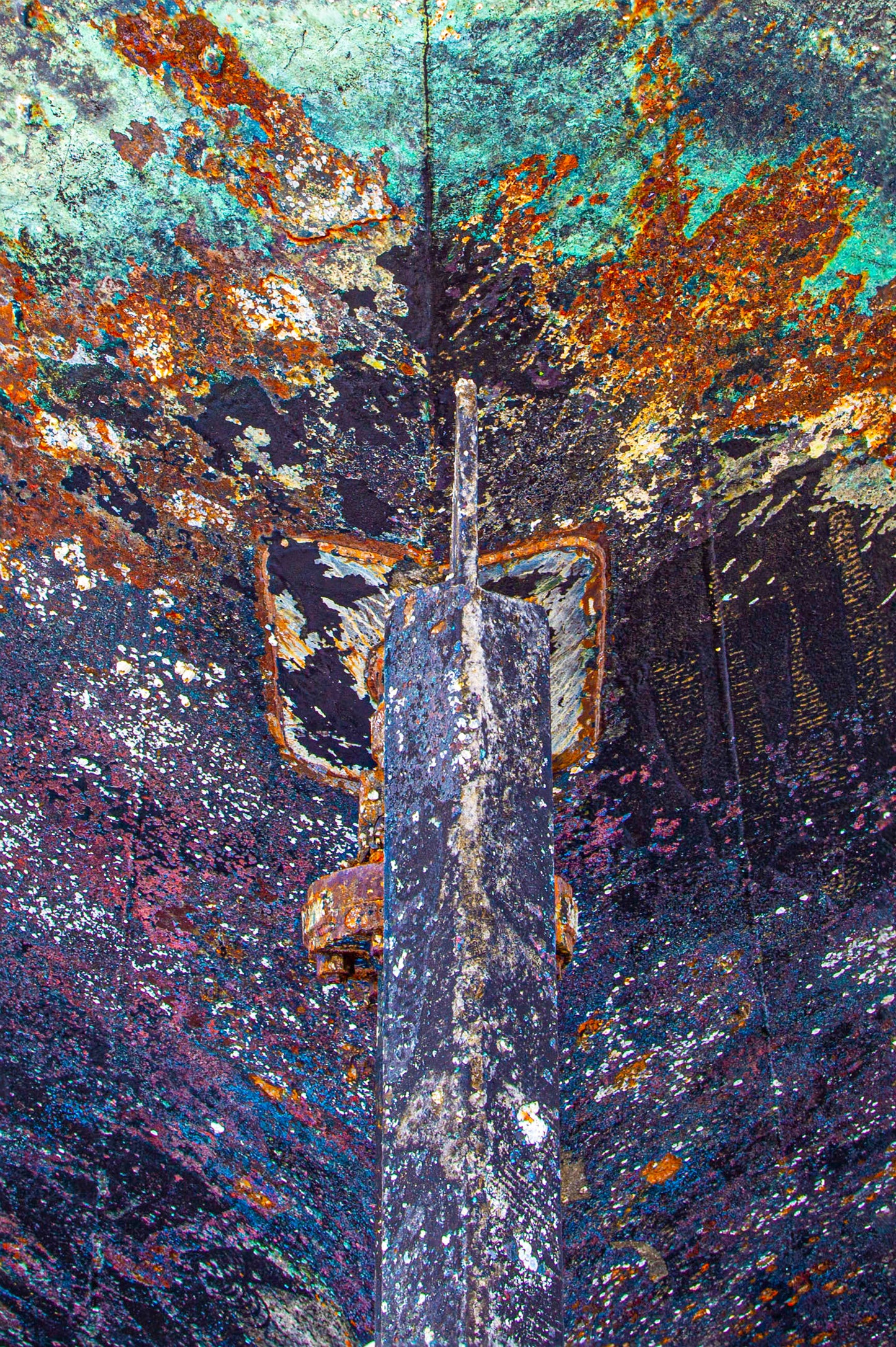 Oregon, 2021, photography on textured metal, 60 x 40 in. / 152.4 x 101.6 cm.