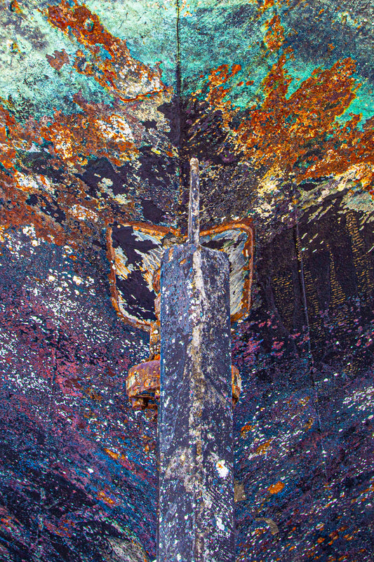 Oregon, 2021, photography on textured metal, 60 x 40 in. / 152.4 x 101.6 cm.