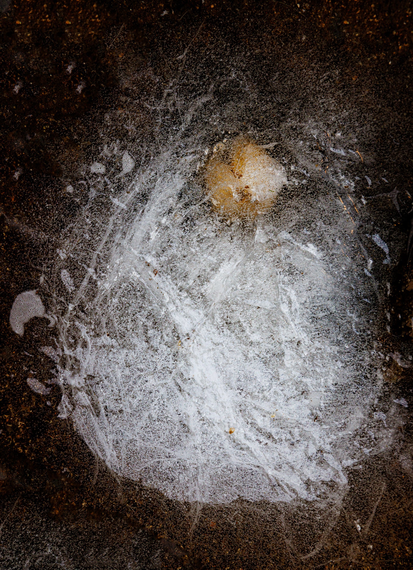 Ice Chaos, 2024, photography, 20 x 16 in. / 50.8 x 40.64 cm.