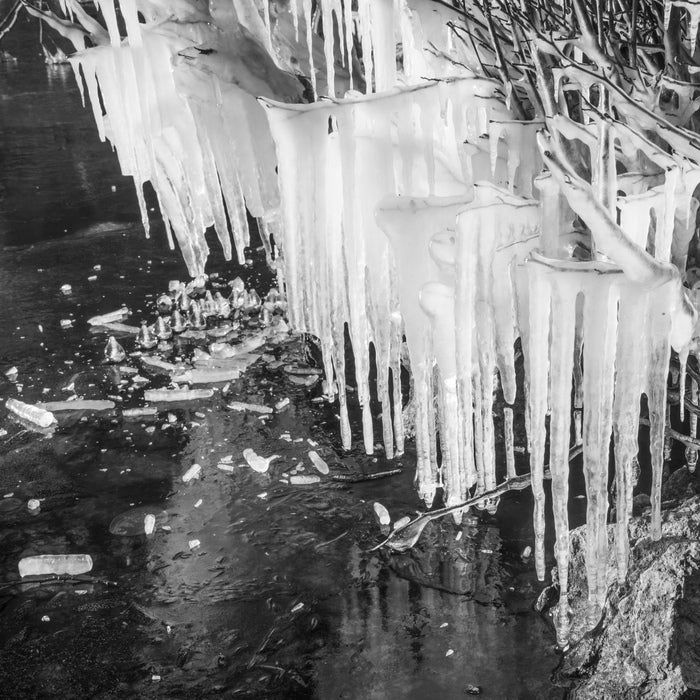 Icicles on Cascade Lake, 2024, photograph, 24 x 24 in. / 60.96 x 60.96 cm.