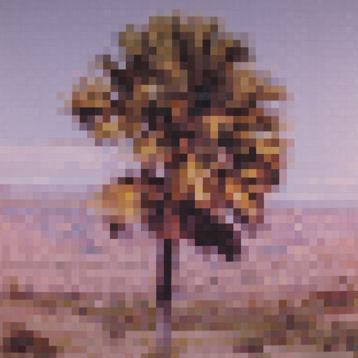Komodo Island Palm, 2012, acrylic on canvas, 36 x 36 in. / 91.44 x 91.44 cm.