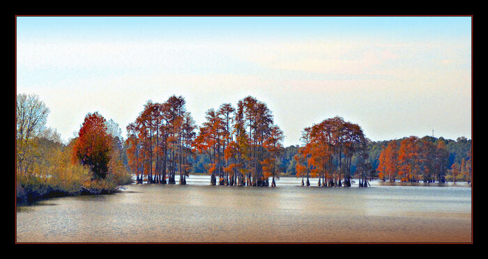 Lake Lafayette Cypress, 2022, digital photographic art, 17 x 32 in. / 43.18 x 81.28 cm.