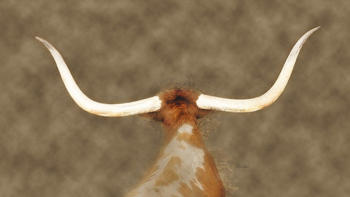 Longhorn's Pride, 2020, photography, 9 x 16 in. / 22.86 x 40.64 cm.