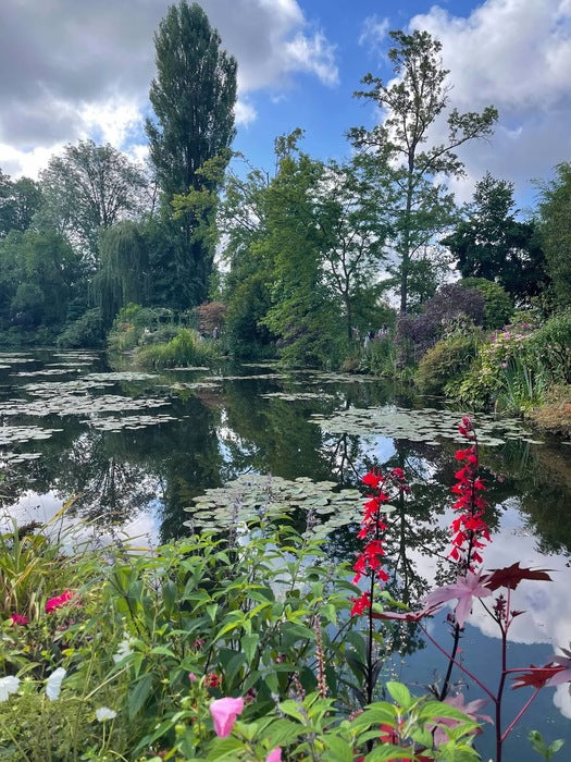 Monet’s Playground, 2024, photograph, 8 x 10 in. / 20.32 x 25.4 cm.